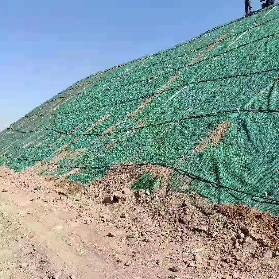 抗冲生物毯